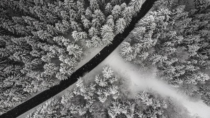 winter, trees, aerial view, snow, road, forest, 4k