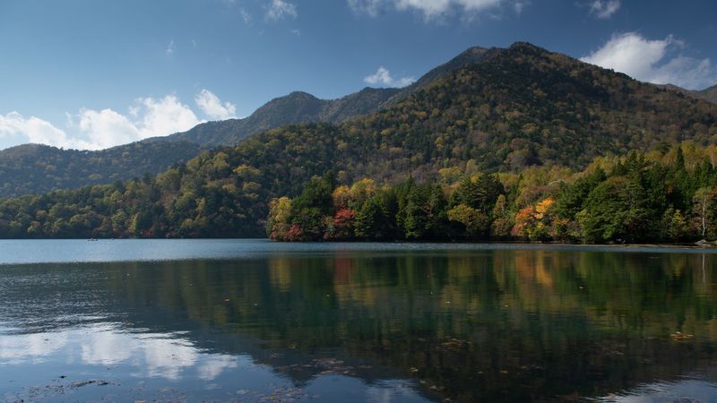 hill, forest, reflection, 4k