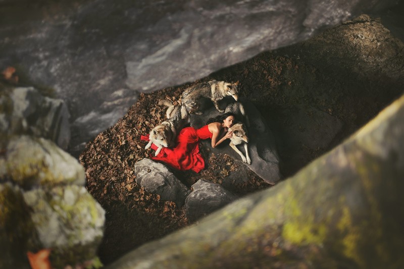 women, animals, red dress, model, wolf, closed eyes, sleeping, cave