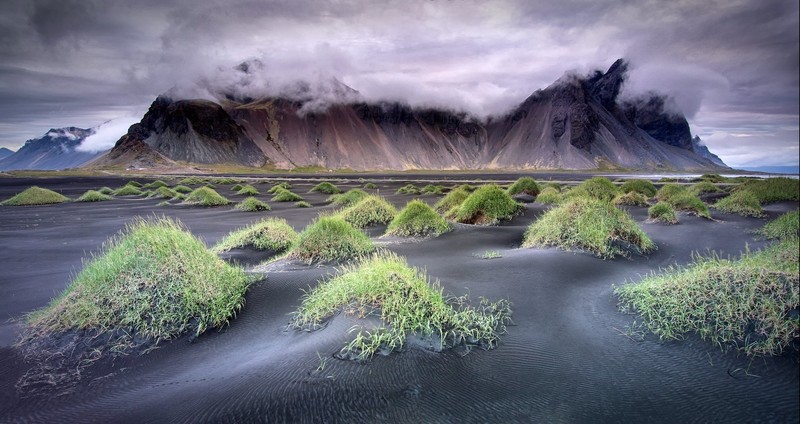 nature, plants, landscape, mountains, Iceland