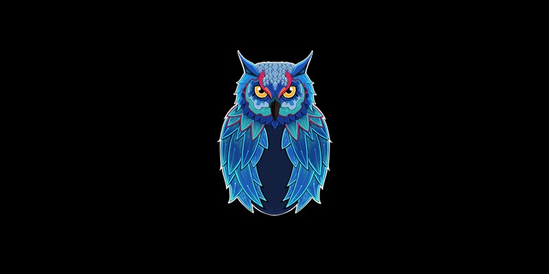 owl, animals, birds, artwork