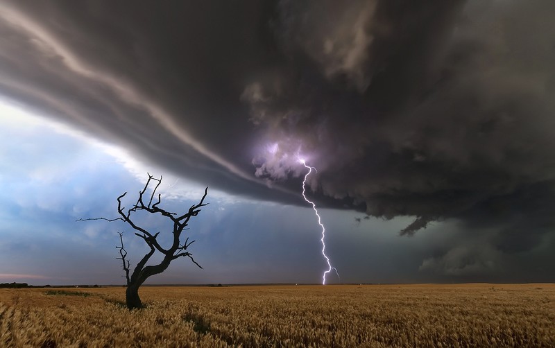 lightning, storm, dark, clouds, field, landscape