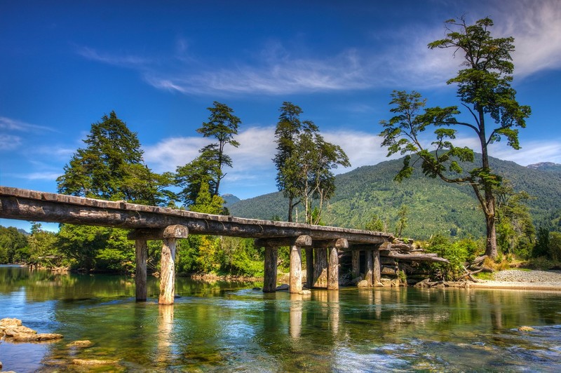 Chile, nature, bridge, outdoors, trees, log, river