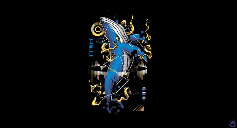 whale, animals, artwork, simple background