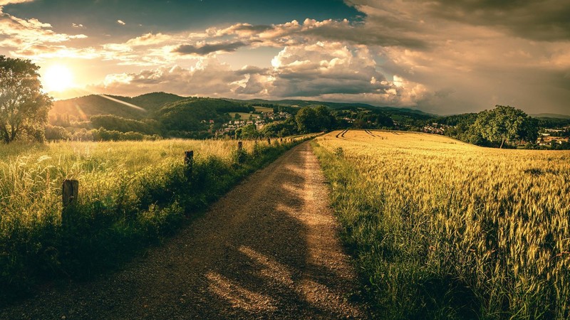 nature, road, sky, clouds, grass, sunset, landscape, summer, trees, field, photography, sunlight