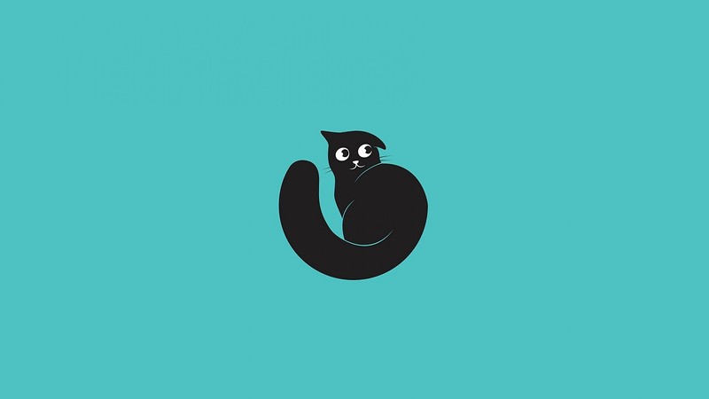 cats, animals, minimalism, Black Cat, black cats, cyan, cyan background
