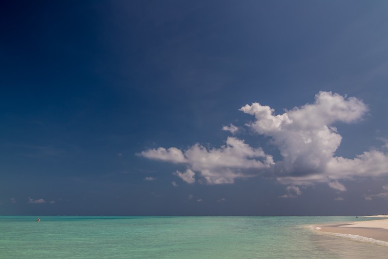 tropical, island, Maldives
