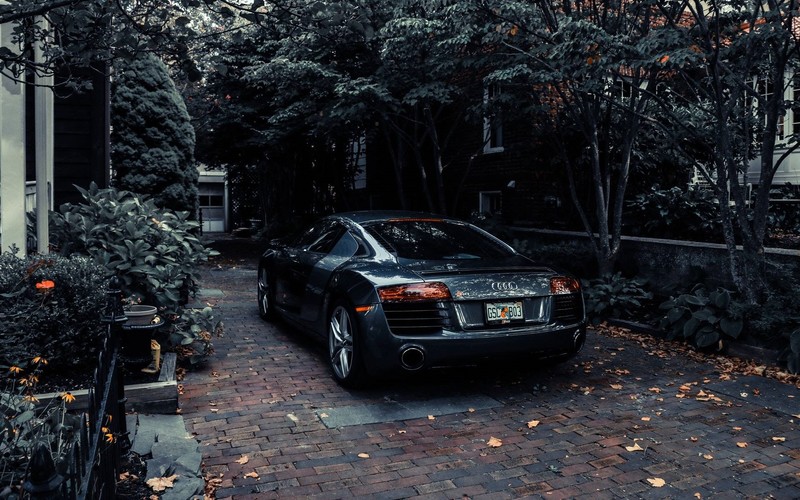 car, Audi, Audi R8, trees, outdoors, Audi R8 Type 42