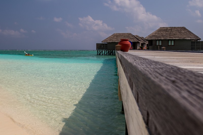 tropical, island, Maldives