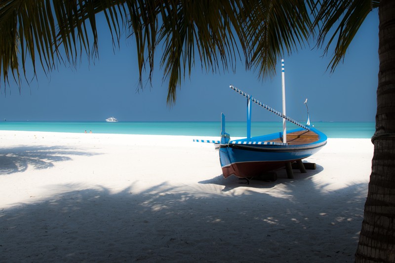Maldives, tropical, island, Surfers Paradise, boat, sea, sand, beach, palm trees