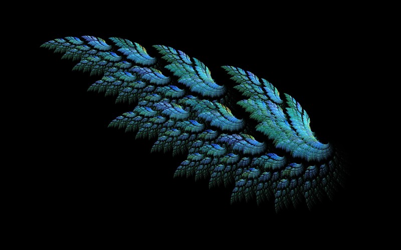 wings, artwork, digital art