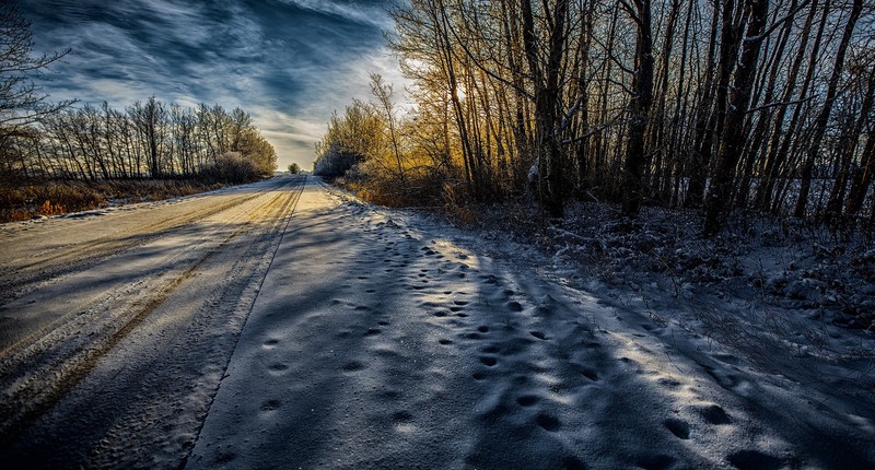 nature, snow, outdoors, winter