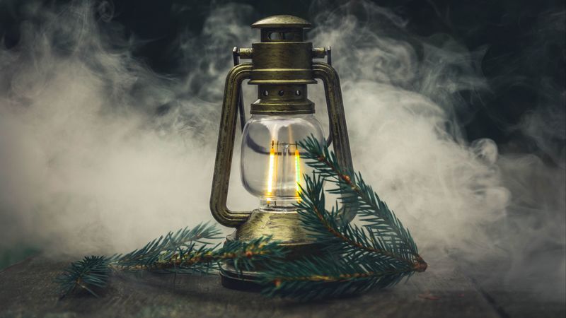 lamp, branch, spruce, smoke, 4k