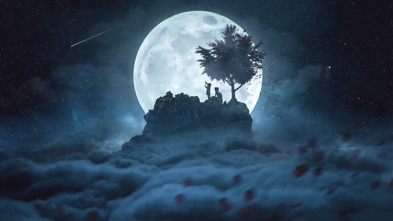 digital, digital art, artwork, fantasy art, concept art, environment, children, people, silhouette, night, stars, starry night, landscape, sky, skyscape, Moon, moon rays, moonlight, illustration, Photoshop, photomontage, photo manipulation, clouds, comet, astronomy, trees, shooting stars
