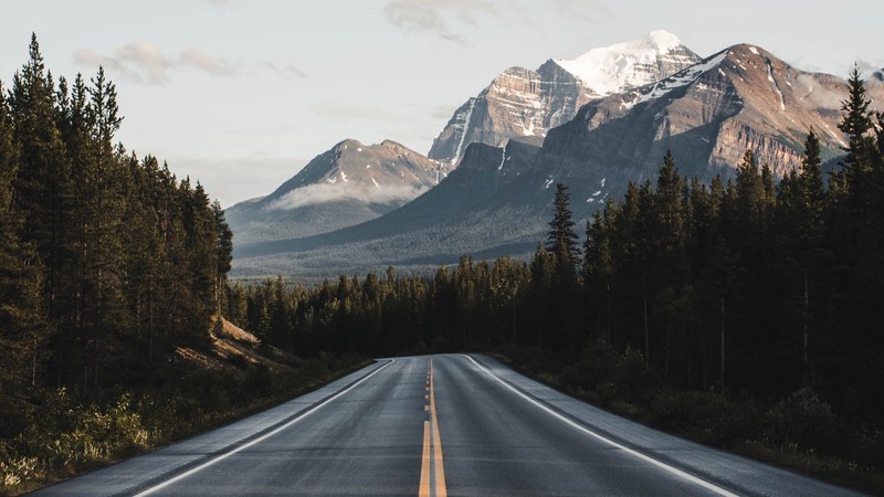 nature, trees, forest, mountains, road, landscape