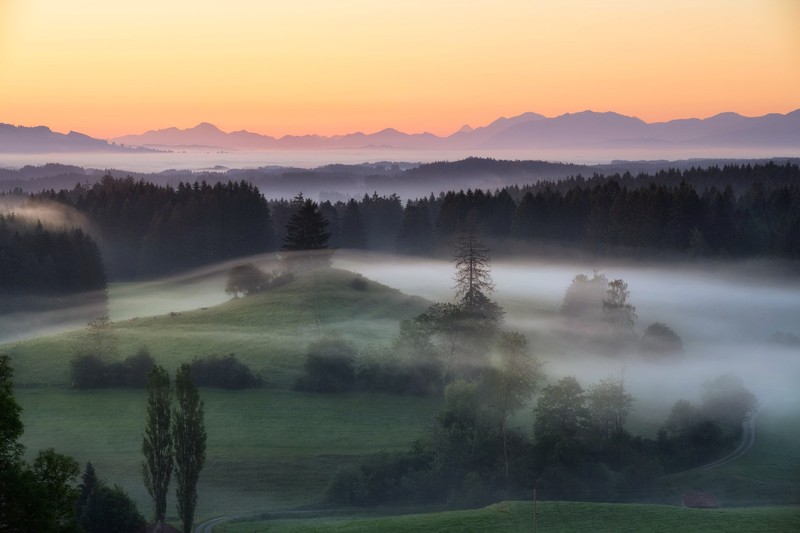 nature, landscape, mist, forest, sunrise, mountains
