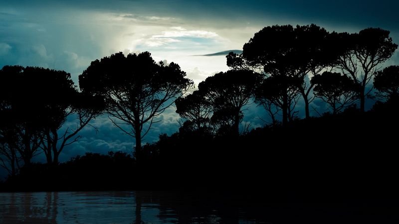 trees, clouds, night, reflection, landscape, 4k