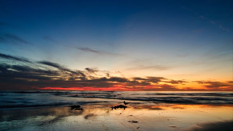 ocean, sunset, horizon, sand, silhouettes, california, 4k