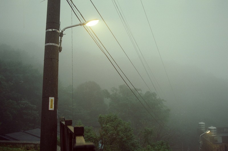 street light, night, mist, power lines, trees