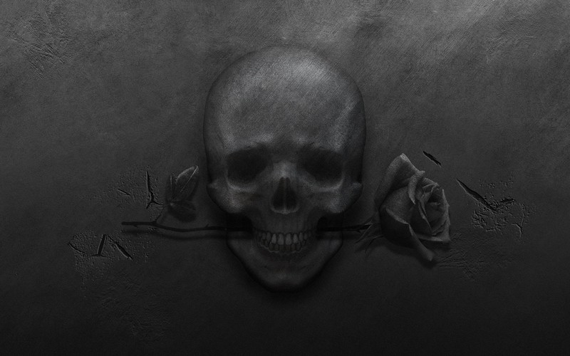 artwork, monochrome, skull, flowers, rose