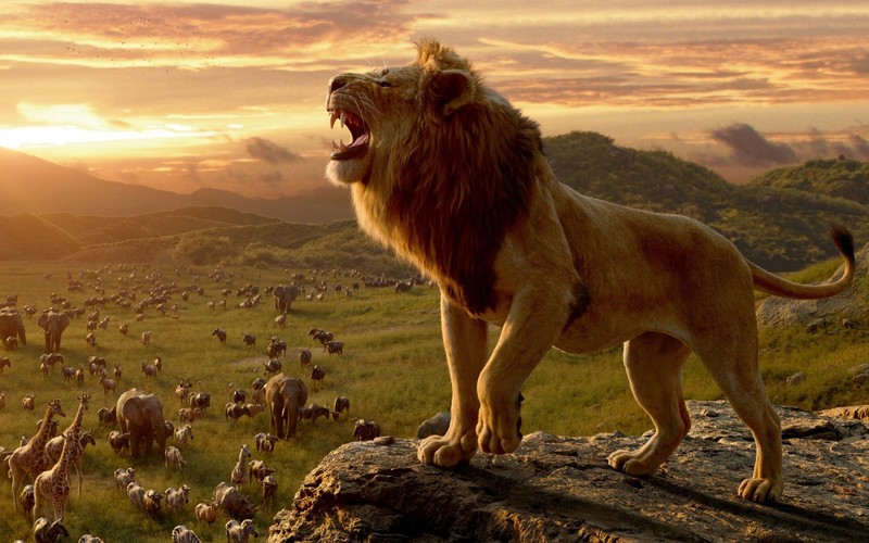 nature, animals, lion, big cats, elephant, giraffes, zebras, sunset, roar, digital art, The Lion King