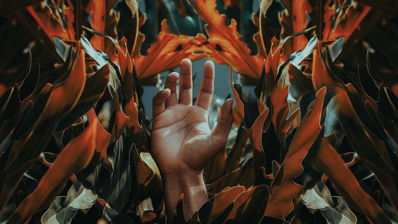 hand, palm, leaves, plant, fingers, 4k