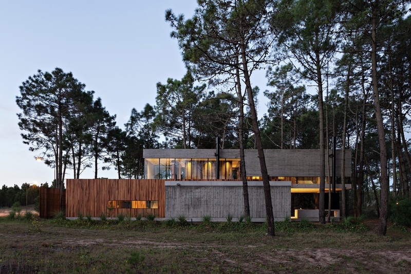modern, house, architecture, trees