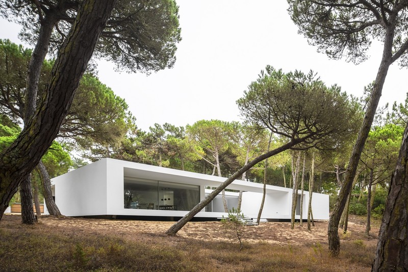 modern, house, architecture, trees