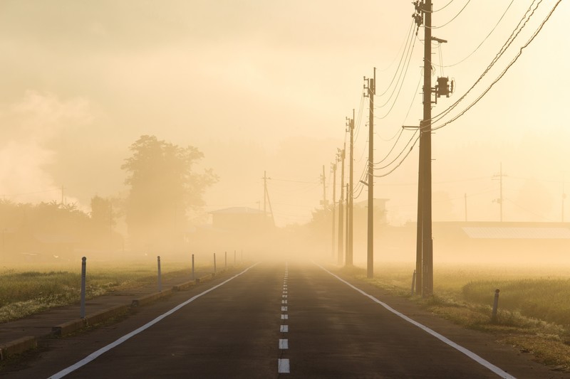road, asphalt, power lines, mist, empty, morning