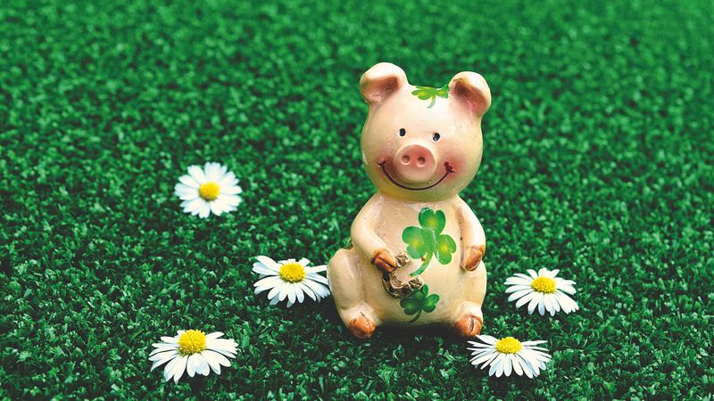 pig, figurine, luck, symbol, 2019, 4k