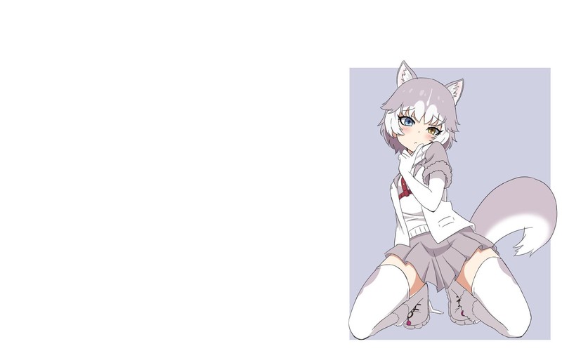 anime, anime girls, white background, simple background, animal ears, heterochromia, Kemono Friends, zettai ryouiki