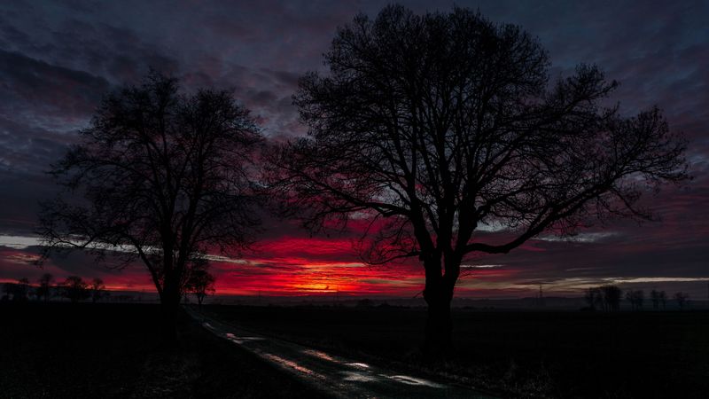 sunset, clouds, trees, road, horizon, 4k