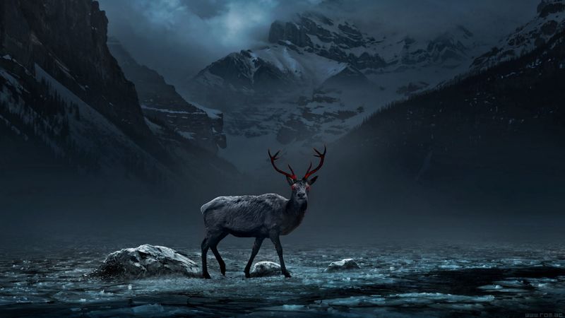 deer, mountains, art, gloomy, fog, 4k