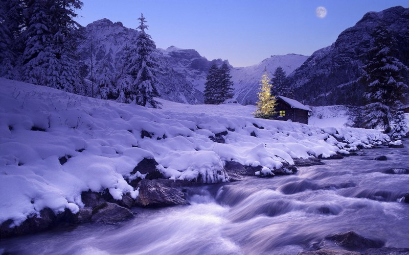 nature, snow, winter, trees, forest, cabin, river
