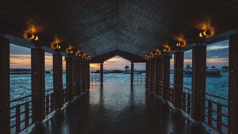 pier, boardwalk, ocean, palm trees, evening, 4k