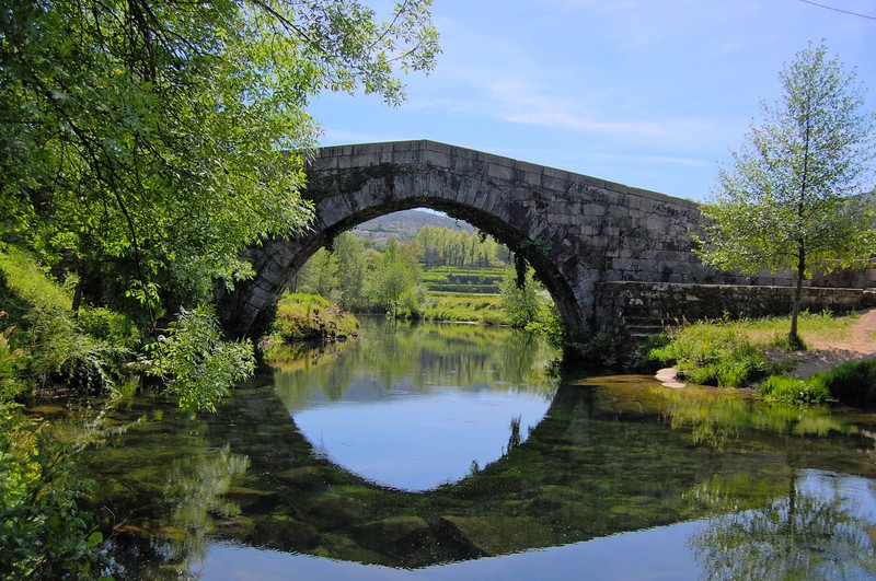 bridge, nature, river, green, water, trees, reflection