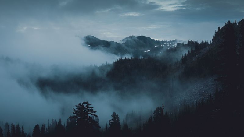 mountains, fog, trees, olympic national park, port angeles, usa, 4k