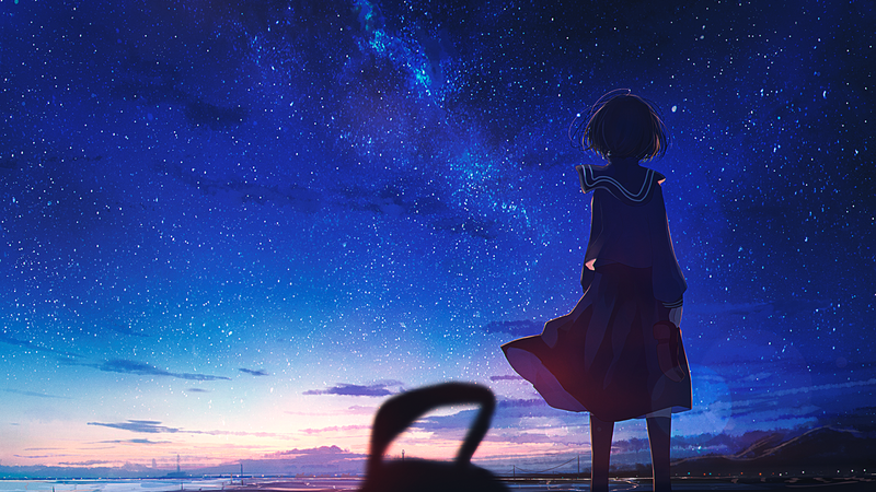 starry night, anime girls, anime, sky, stars, outdoors, sunset