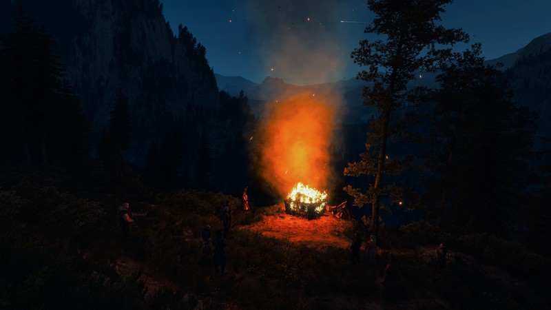 The Witcher 3: Wild Hunt, The Witcher, video game art, trees, fire, night