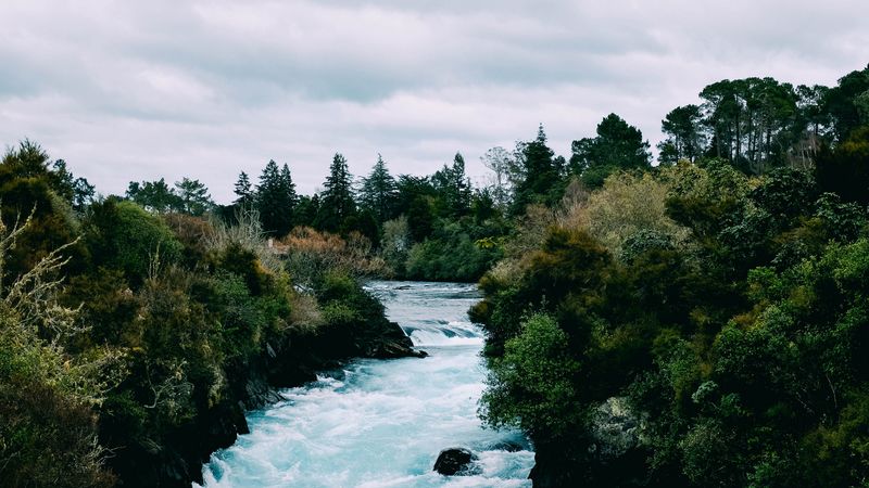 river, current, waves, trees, 4k