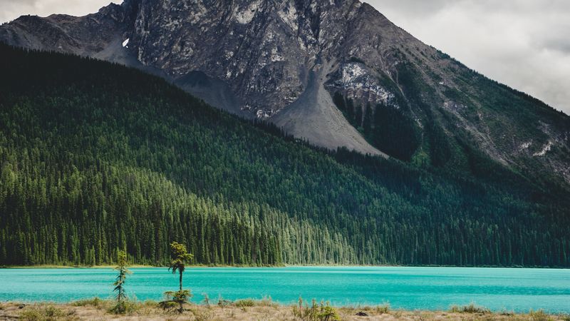 mountain, river, landscape, trees, forest, 4k
