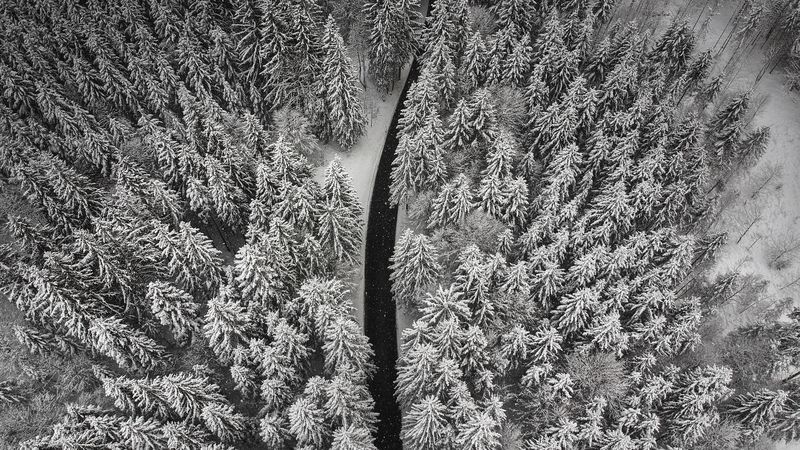 winter, trees, aerial view, snow, road, 4k