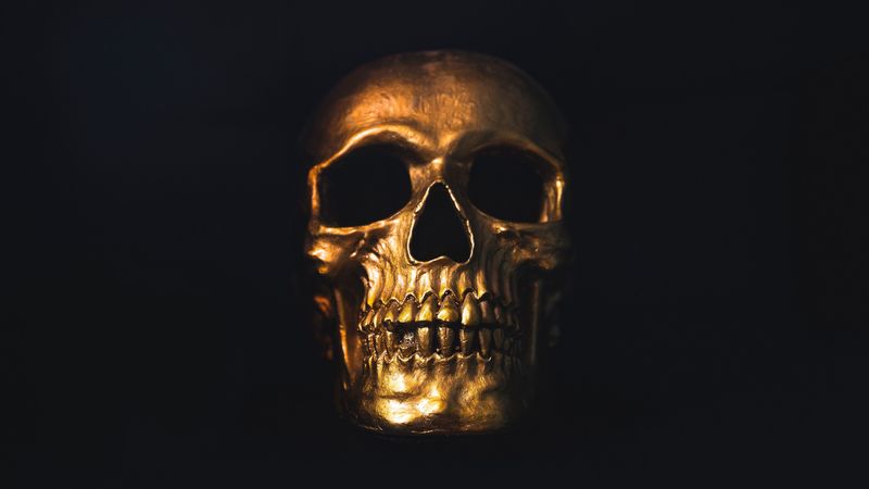 skull, gold, ornament, shine, 4k
