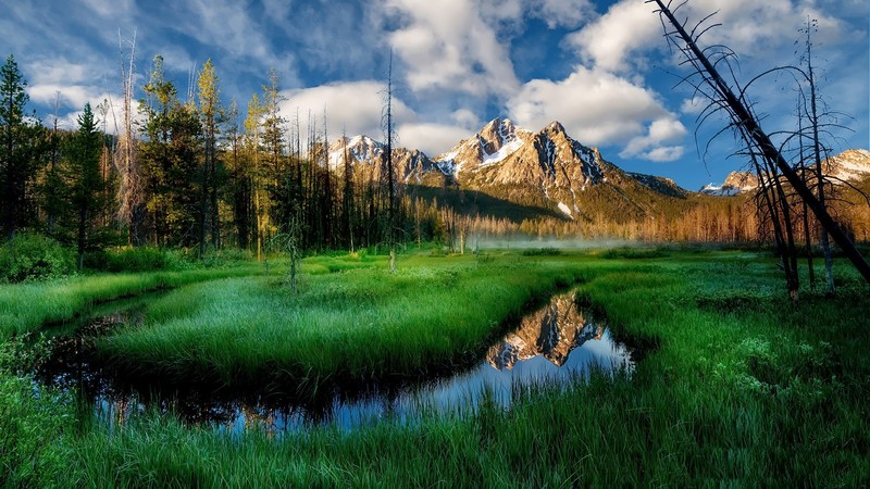 nature, plants, mountains, landscape, grass, river, trees