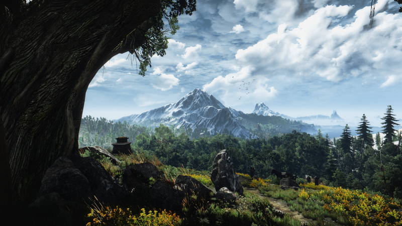 The Witcher 3: Wild Hunt, The Witcher, video games, CD Projekt RED
