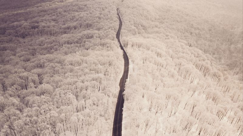road, aerial view, winter, snow, forest, trees, 4k