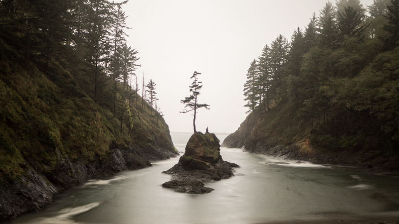 island, bay, trees, coast, 4k