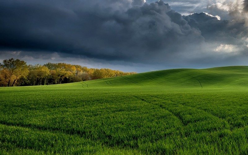 nature, landscape, grass, clouds, sky, field