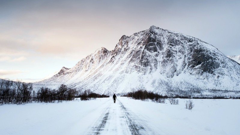 nature, landscape, winter, snow, trees, mountains, snowy peak, men, road, forest