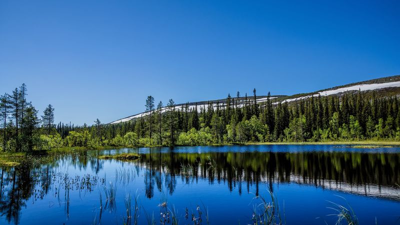 hill, trees, reflection, 4k